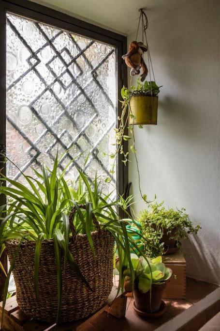 La Casa Nella Torre - Apartment ポンタッシエーヴェ エクステリア 写真